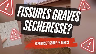 Fissures maison suite à une sécheresse DANGEREUX [upl. by Mandler508]