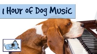 OVER 1 HOUR OF RELAXING DOG MUSIC Music for Dogs Stop Barking Great for Crate Training 🐶 RMD02 [upl. by Aluap]