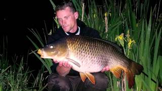 Pêche à la Carpe  Guyancourt  Etang de la Grande Ile mai 2015 HD [upl. by Ahsile]