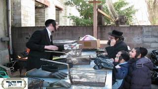 Erev Pesach in Boro Park Part 1 [upl. by Elohc375]