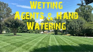 Lawn Care Wetting Agents Tips And Tricks For Hot And Dry Spots [upl. by Charla]