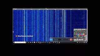 Asia Vietnam Voice of Vietnam German 11885 kHz 1830 UTC 21 Nov 2024 [upl. by Faus]