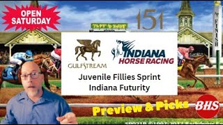 2024 Indiana Futurity  Preview amp Picks  Bonus Gulfstream PK Filly Sprint [upl. by Tanaka]