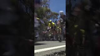 What does a full gas peloton sound like though 🤔🎧 [upl. by Liscomb180]