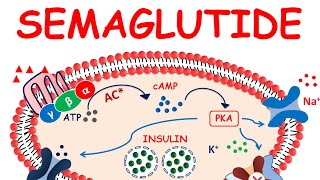 Semaglutide injection  Ozempic for weight loss  Precautions amp side effects [upl. by Nwahsar]