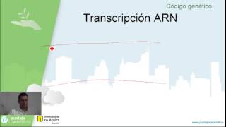 BiologíaCódigo genético [upl. by Ardena936]