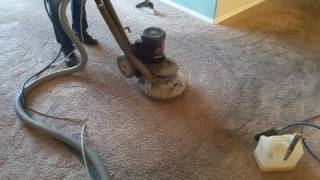 Cleaning Service ProLLCTruly Kleen Carpet Cleaningrx20 rotary cleaning [upl. by Dyson772]