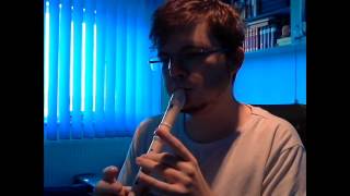 In Dreams  Lord of the Rings  Recorder Cover [upl. by Ahcsat]