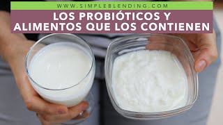 LOS PROBIÓTICOS Y LOS ALIMENTOS QUE LOS CONTIENEN  ¿Qué son los probióticos [upl. by Adrea328]