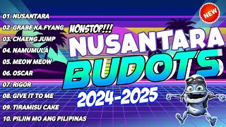 New VIRAL TIKTOK BUDOTS NONSTOP REMIX 2024  NUSANTARA  DJ MONSOY [upl. by Prud]