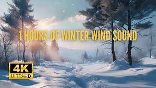 1 Hour of Winter Wind Sounds  Whispering Ambience for Relaxation amp Sleep [upl. by Gilder109]