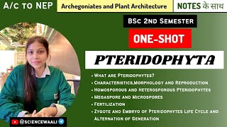 Characteristics Morphology and Reproduction of Pteridophyta  OneShot  BSC Science [upl. by Derinna293]