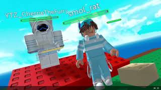 Roblox is more fun in VR  Roblox Natural Disaster Survival [upl. by Hgielrak]