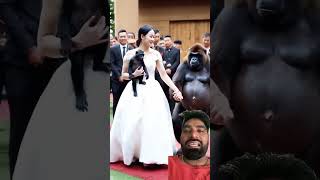 China me log bander se shadi kar monkey animals cute funny drunkenmonkey babyanimals snowmon [upl. by Ahsie]