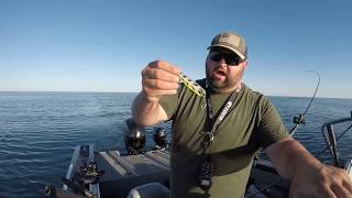 How to fish Salmon on Lake Michigan Intro [upl. by Hirsh872]