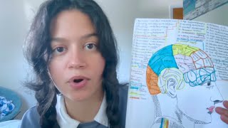 asmr • student phrenology skull bump exam [upl. by Redford]