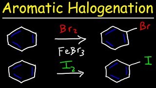 Aromatic Halogenation Mechanism  Chlorination Iodination amp Bromination of Benzene [upl. by Abdul74]