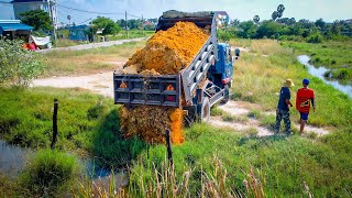 Start a New Project Completed 100 Landfill by Bulldozer D20A Komatsu amp 5Ton Truck Pushing Soils [upl. by Fionnula]