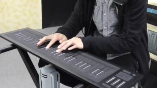 ROLI Seaboard RISE 49 Overview and Performance [upl. by Yrneh]