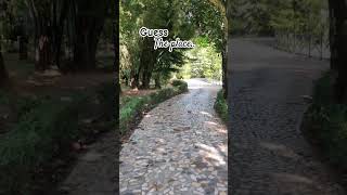 🌿 dhaka resort bangladesh nature trendingsong ytshorts viralshort beautifulplace [upl. by Suiratnauq]