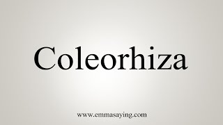 How To Say Coleorhiza [upl. by Melodie]