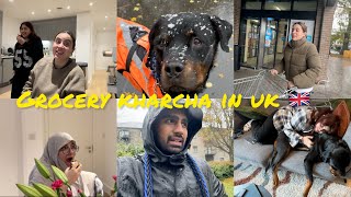 GROCERY KHARCHA IN UK 🛒  ANYA MADE STEAKS 🥩  SNOW IN CARDIFF  VLOG 470 [upl. by Cordalia]