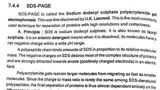 SDSPAGE  Electrophoresis [upl. by Jessabell]