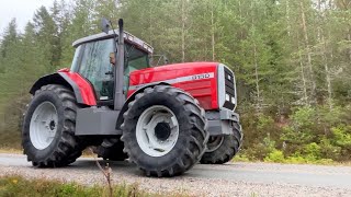 Köp Traktor Massey Ferguson 8150 4WD på Klaravik [upl. by Noret]