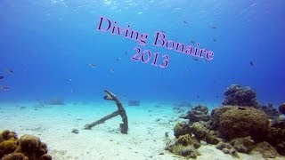 Diving Bonaire 2013 [upl. by Plossl]