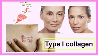 type I collagen [upl. by Imerej]