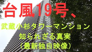 武蔵小杉高級タワーマンションうんこ禁止令は本当か？ [upl. by Courcy]