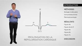 Lecture d’article  comment modéliser une arythmie cardiaque [upl. by Auoh]