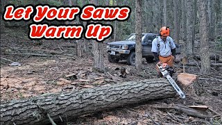 Stihl 500i Lessssssgooooooo stihl chainsawman firewood friends [upl. by Submuloc11]