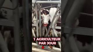 1 agriculteur tout les jours ⚰️🆘 sos agriculture élevage vache montbéliarde mort agriculteur [upl. by Zoes622]