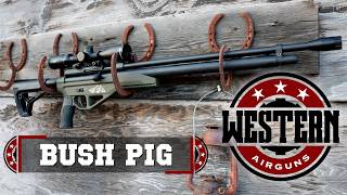 Best 45 Caliber Airgun  Western Bushbuck and Bushpig Carbine [upl. by Sirred]