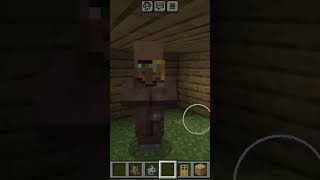 door vindicator villager [upl. by Ahseinek]