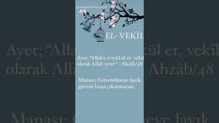 ELVEKÎL [upl. by Sontag]