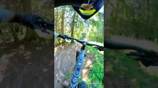 Enduro dans les racines downhill [upl. by Ecirtaed]