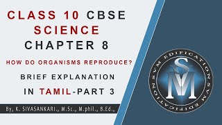 CLASS 10 CBSE SCIENCE CHAPTER 8 HOW DO ORGANISMS REPRODUCE PART 3  EXPLANATION IN TAMIL [upl. by Einnahc]