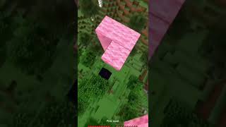 F SPEED speed edit shorts minecraft inscrevase se gostar pfvr [upl. by Nhguavahs506]