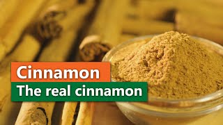 The Real Cinnamon  Cinnamon from Sri Lanka [upl. by Nyrad617]