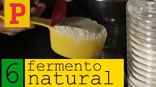 Como fazer fermento natural  Vídeo 6 [upl. by Nwavahs656]