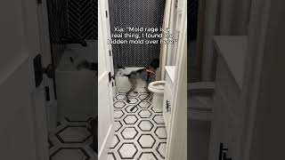 K9 mold detection dog finds hidden mold in bathroom [upl. by Attelrahs640]