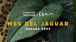 Programación Mes del Jaguar 2023 [upl. by Savdeep]