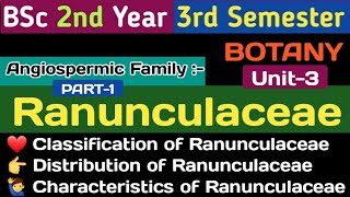 BSc 2nd Year 3rd Semester BotanyRanunculaceae Family RanunculaceaeClassification of Ranunculaceae [upl. by Aicinad]