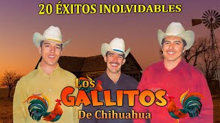 Los Gallitos de Chihuahua  20 Exitos Inolvidables  Corridos y Rancheras Viejitas [upl. by Beverle]