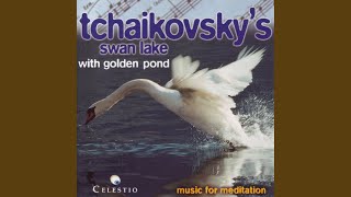 Spanish Dance  Spanischer Tanz  Schwanensee PI Tchaikovsky  Ballet Suite From Swan Lake [upl. by Usanis]