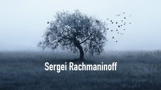 Sergei Rachmaninoff Trio Élégiaque No1 In G Minor For Piano Violin And Cello [upl. by Adnicul]