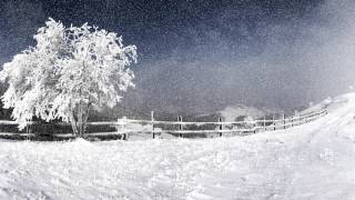 3 Hours Snowstorm Sounds  Ambient Blizzard Howling Wind Soundscape [upl. by Norabal]