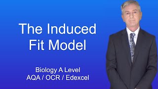 A Level Biology Revision quotThe Induced Fit Model of Enzyme Actionquot [upl. by Ettedo]